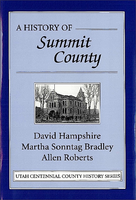 Title details for A History of Summit County by David Hampshire - Available